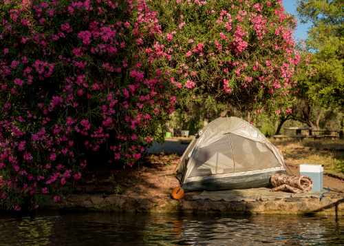 קמפינג (לינת אוהלים) בפארק הירדן, צילום רוני אלוש, מאי 2021 (84)